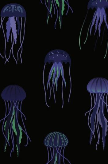 Jellyfish