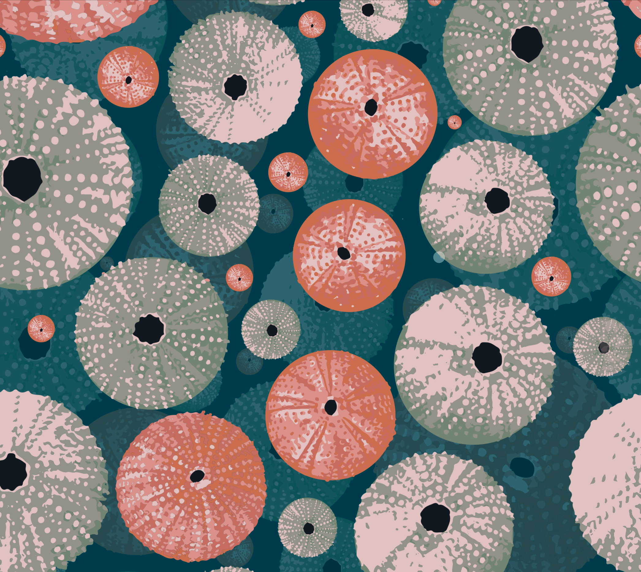 Urchin